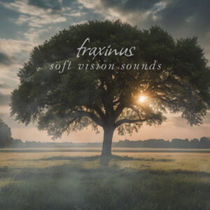 Fraxinus - Soundbox Instrument